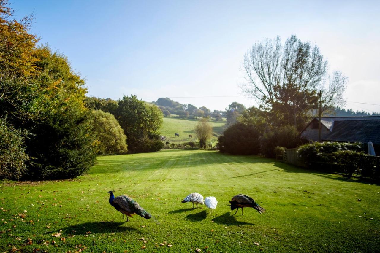 The Garlic Farm Sandown Exterior foto