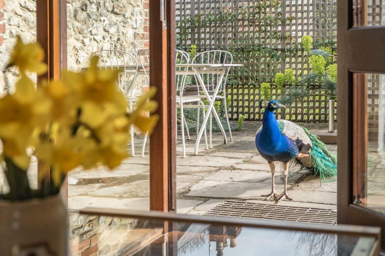 The Garlic Farm Sandown Exterior foto